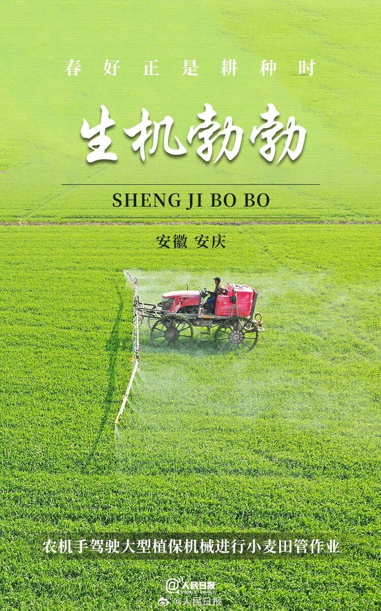 生機盎然！用課本封面打開春耕畫卷