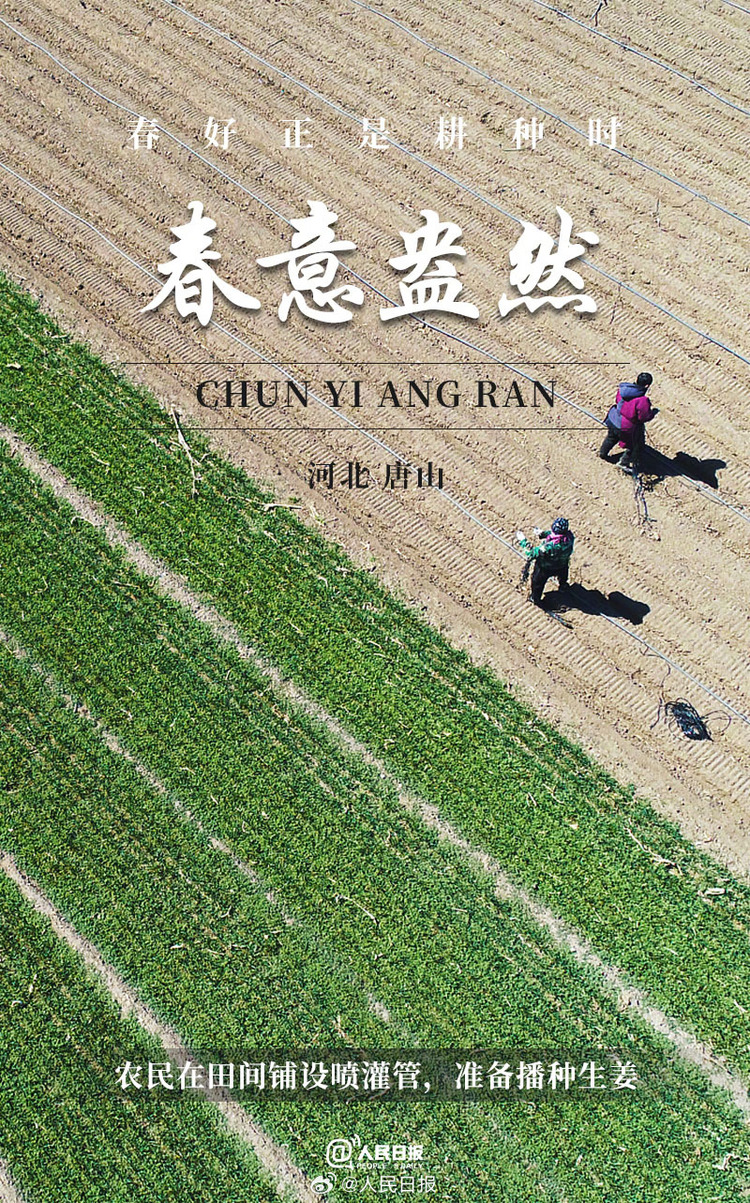 生機盎然！用課本封面打開春耕畫卷