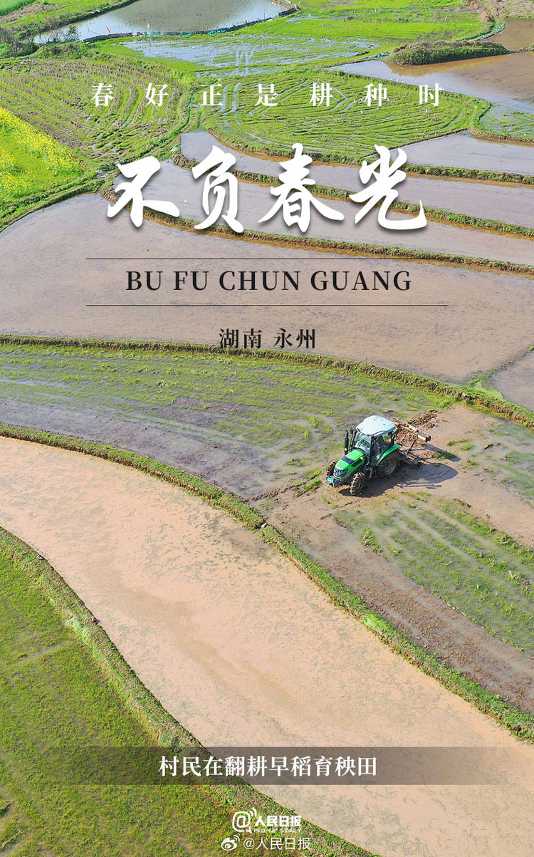 生機盎然！用課本封面打開春耕畫卷