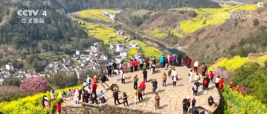 “春日經(jīng)濟(jì)”熱力十足 “賞花+”融合煥新創(chuàng)造發(fā)展場(chǎng)景式消費(fèi)新機(jī)遇