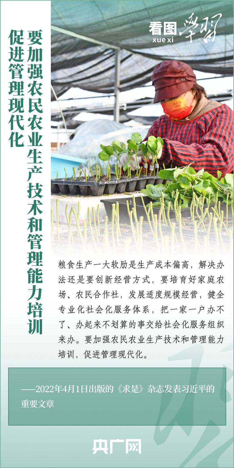 看圖學(xué)習(xí)丨推廣良田、良種、良法、良機(jī) 給農(nóng)業(yè)現(xiàn)代化插上科技的翅膀