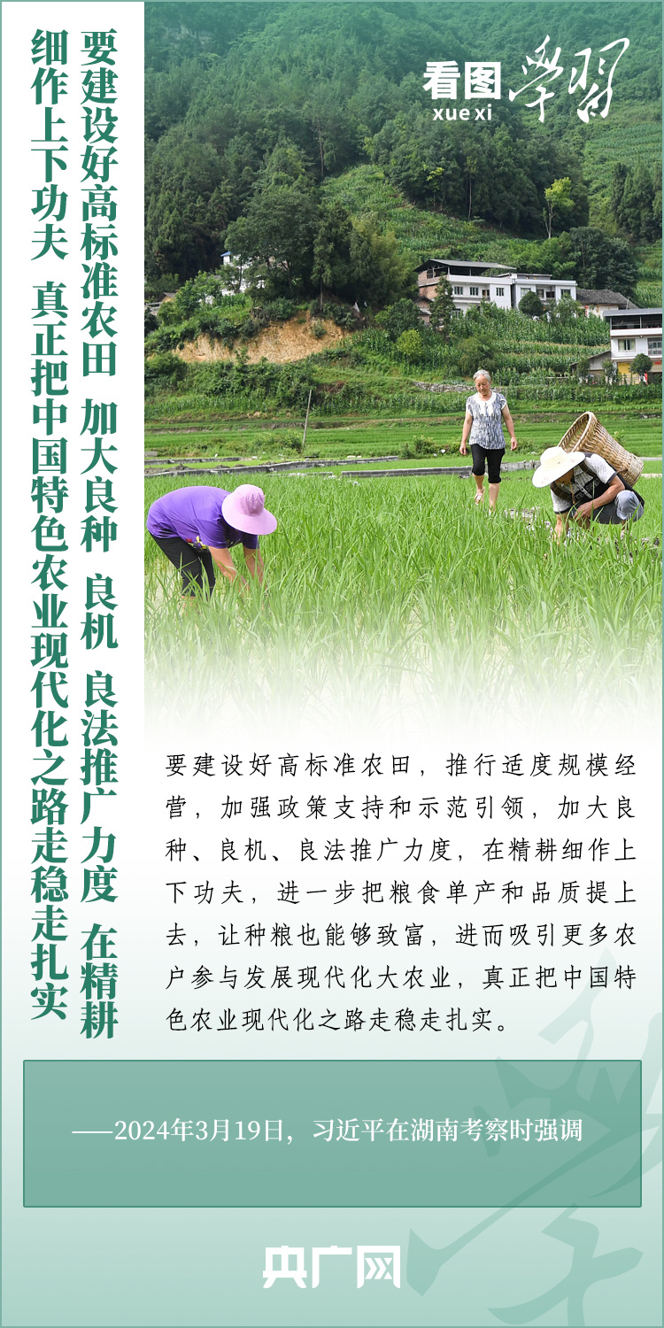 看圖學(xué)習(xí)丨推廣良田、良種、良法、良機(jī) 給農(nóng)業(yè)現(xiàn)代化插上科技的翅膀