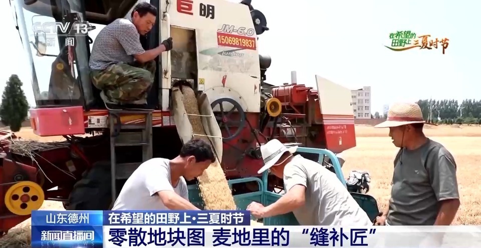 “三夏”生產(chǎn)思維導(dǎo)圖安排上了！還有政府大院等你來“曬”