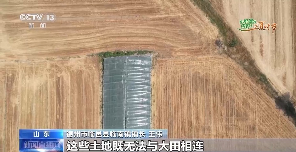 “三夏”生產(chǎn)思維導(dǎo)圖安排上了！還有政府大院等你來“曬”