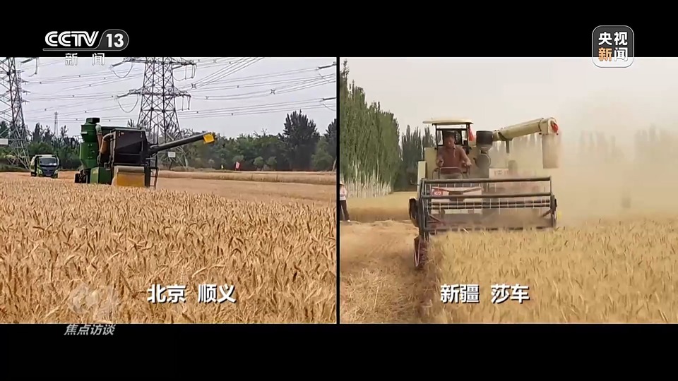 焦點(diǎn)訪談丨一粒良種 萬擔(dān)好糧 探索農(nóng)作物高產(chǎn)高質(zhì)“新密碼”