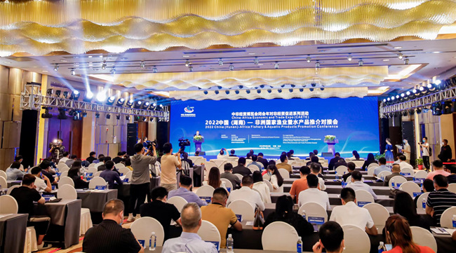 對(duì)接會(huì)現(xiàn)場(chǎng)。湖南省商務(wù)廳供圖