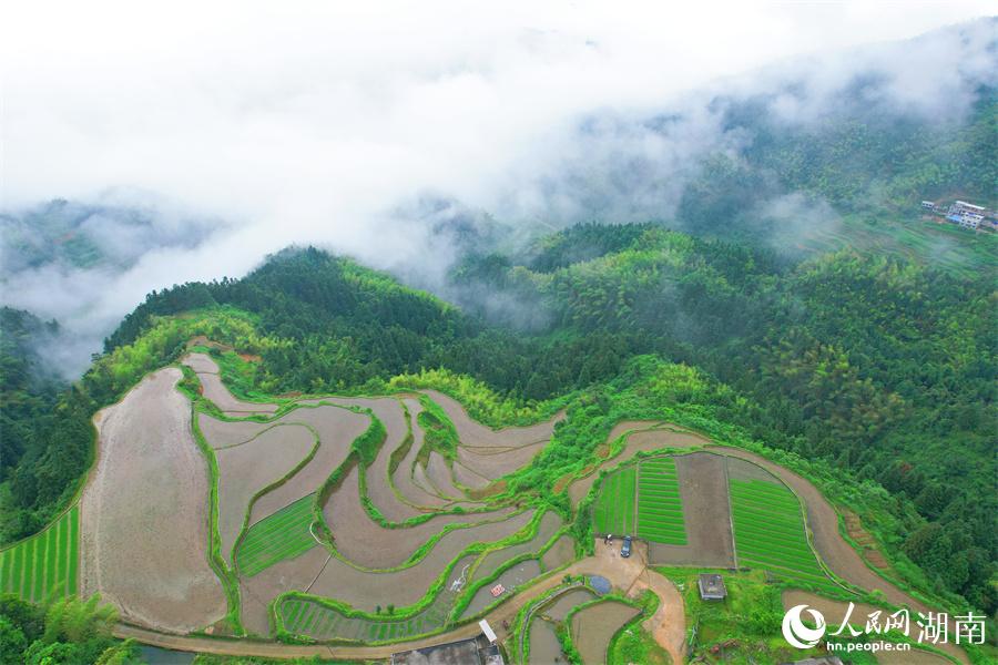 云中梯田美如畫(huà)。人民網(wǎng) 李芳森攝
