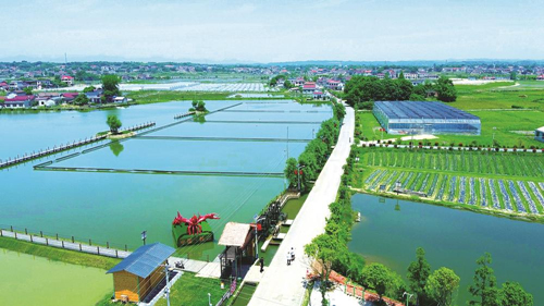 近年來(lái)，大成橋鎮(zhèn)堅(jiān)持加強(qiáng)黨對(duì)鄉(xiāng)村治理的集中統(tǒng)一領(lǐng)導(dǎo)，該鎮(zhèn)鄉(xiāng)村治理模式入選第二批全國(guó)鄉(xiāng)村治理典型案例。圖為美麗的大成橋鎮(zhèn)。（資料圖片）