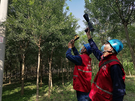 工作人員進行紅外測溫及超聲波局部放電檢測。 王亮攝