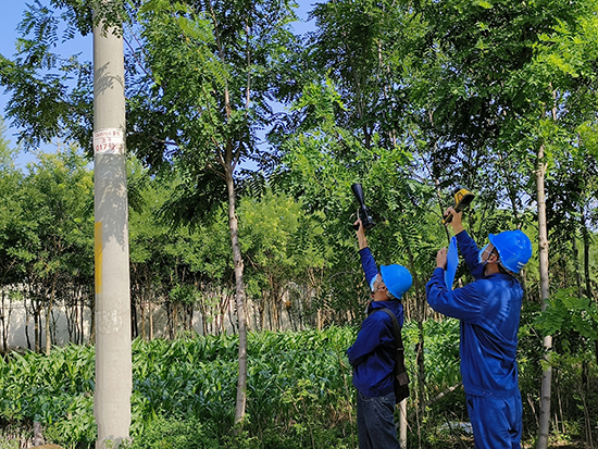 工作人員進行紅外測溫及超聲波局部放電檢測。 王亮攝