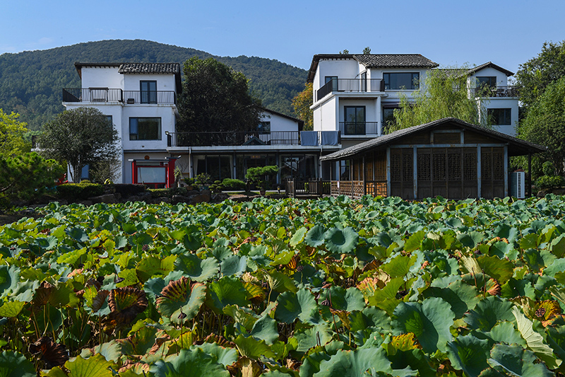 雨悅山房負(fù)責(zé)人原來(lái)在馬達(dá)加斯加打理酒店，之所以“從馬達(dá)加斯加到肥東”，源于對(duì)家鄉(xiāng)民宿前景看好。吳芳攝