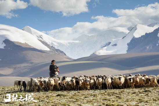 治愈你的不止曠野，更是真實的生活