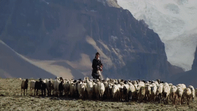 你看了嗎？藏語版《日光之城》“含金量”還在上升！