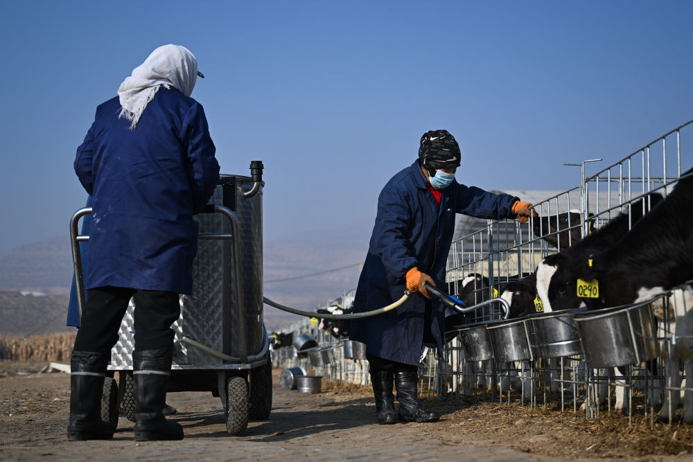 牢牢守住不發(fā)生規(guī)模性返貧致貧底線——西部脫貧地區(qū)“5年過渡期”一線觀察