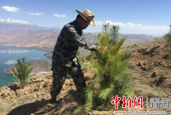 圖為尖扎干部職工生態(tài)建設(shè)和環(huán)境保護(hù)現(xiàn)場(chǎng)。尖宣 供圖