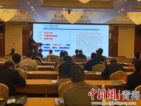 圖為論壇現(xiàn)場。李江寧攝