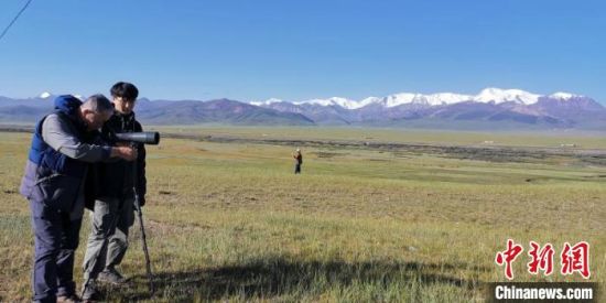 圖為工作人員正在進(jìn)行黑頸鶴衛(wèi)星跟蹤和環(huán)志工作?！∑钸B山國(guó)家公園青海省管理局供圖 攝