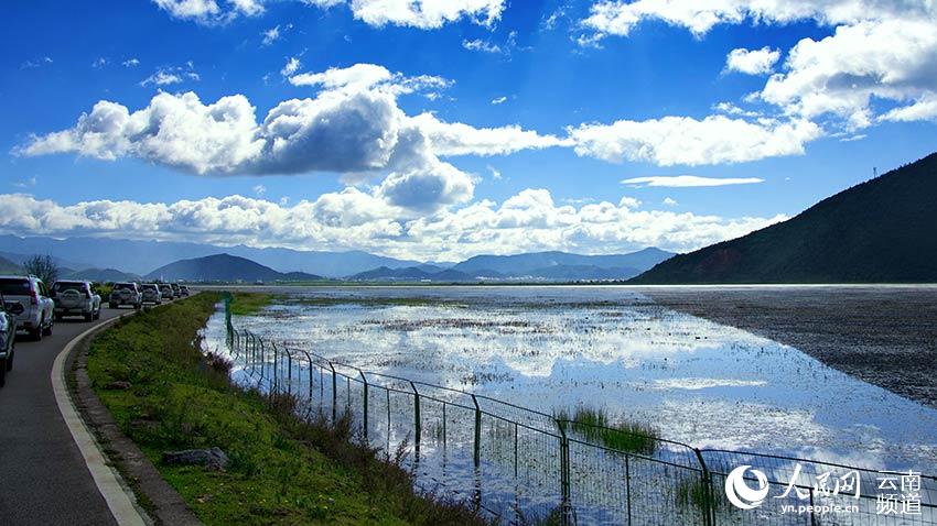 納帕海濕地。呂昊辰攝
