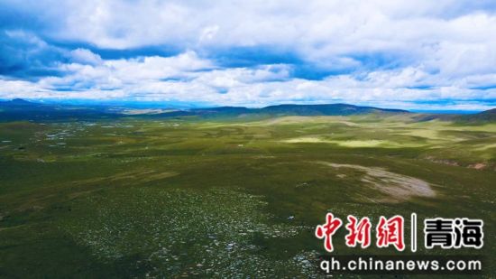 圖為長(zhǎng)江南源沼澤濕地。李江寧攝