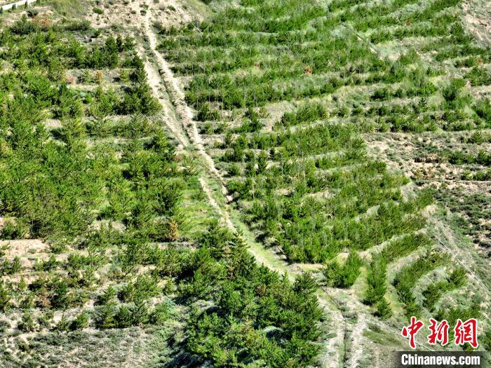 航拍建行青海省分行綠化區(qū)?！∑钤鲚?攝