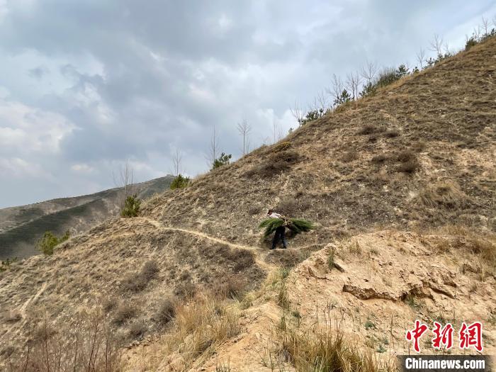 資料圖為建行青海省分行綠化區(qū)施工隊(duì)隊(duì)員人工運(yùn)樹(shù)苗?！〗ㄐ星嗪Ｊ》中泄﹫D