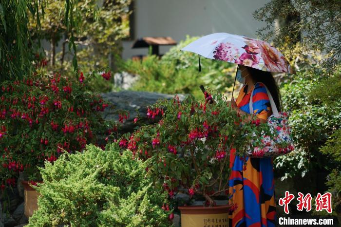 圖為市民在西寧園林植物園內(nèi)賞花拍照?！●R銘言 攝