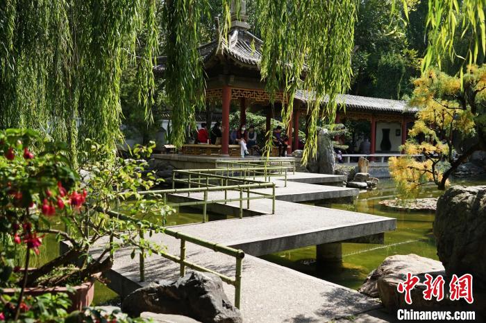 圖為西寧園林植物園秋日風(fēng)景別有韻味?！●R銘言 攝