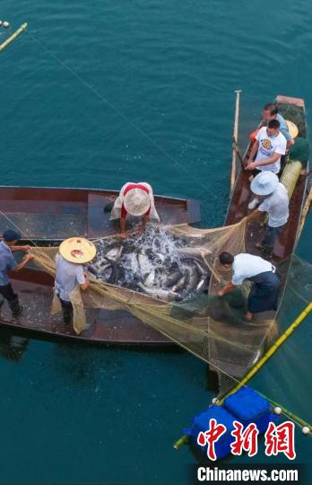 捕魚現(xiàn)場?！≈鬓k方供圖