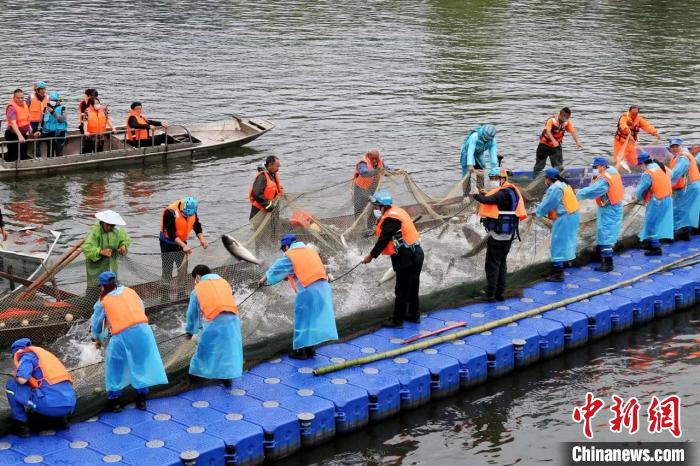 捕撈現(xiàn)場?！≈鬓k方供圖