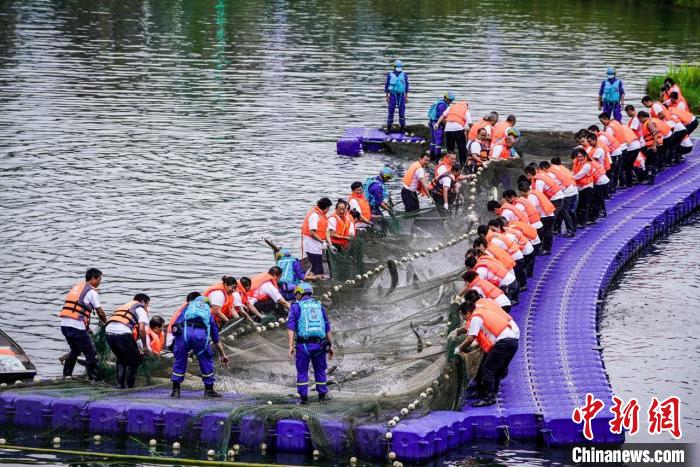 捕撈現(xiàn)場?！≈鬓k方供圖