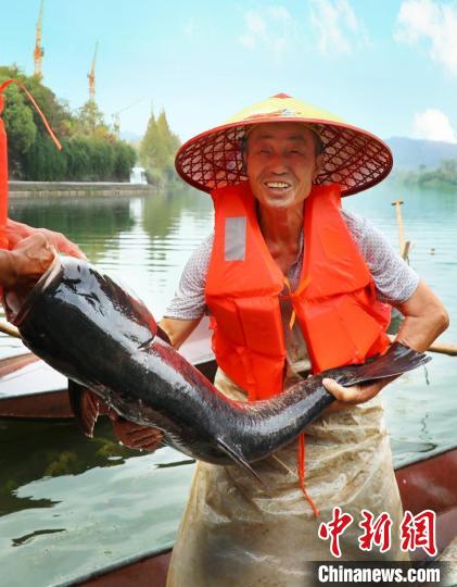 工作人員展示捕撈成果?！≈鬓k方供圖