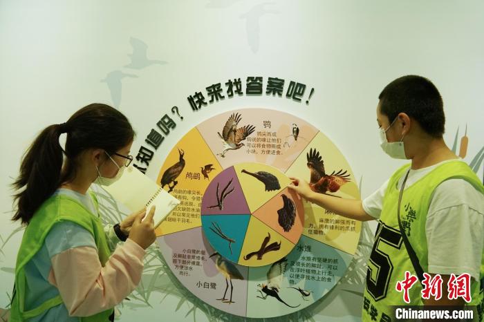 圖為小朋友在青海西寧湟水國家濕地公園科普館內(nèi)參觀學(xué)習(xí)?！●R銘言 攝