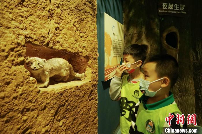 圖為小朋友在青海西寧湟水國家濕地公園科普館內(nèi)參觀學(xué)習(xí)?！●R銘言 攝