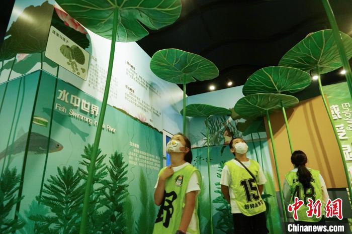 圖為小朋友在青海西寧湟水國家濕地公園科普館內(nèi)參觀學(xué)習(xí)?！●R銘言 攝