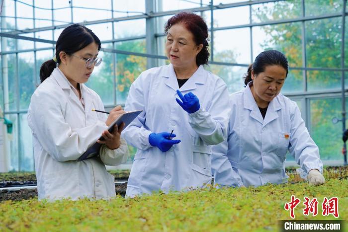 圖為張錦梅(中)與同事在討論數(shù)據(jù)。馬銘言 攝