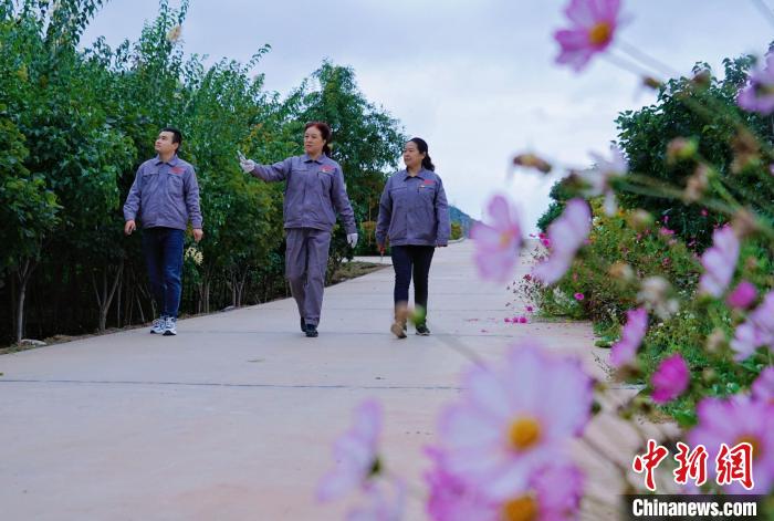 圖為張錦梅(中)與同事在西寧北山查看丁香樹?！●R銘言 攝