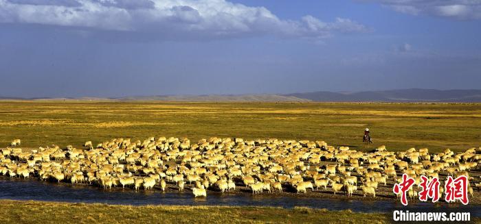 青?，敹唷鞍渍渲椤弊尠傩斟X(qián)袋鼓起來(lái)