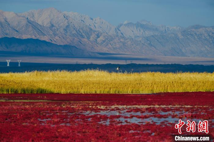 圖為柴達(dá)木盆地可魯克湖?！」?攝