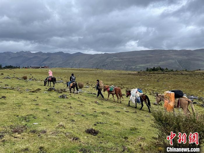 圖為9月26日游客騎馬領(lǐng)略尼汝村高原牧場(chǎng)風(fēng)光。 <a target='_blank' href='/'><p  align=