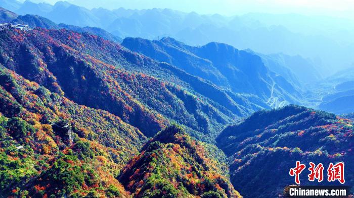 巴山大峽谷彩林迎來(lái)最佳觀賞期?！埰?攝