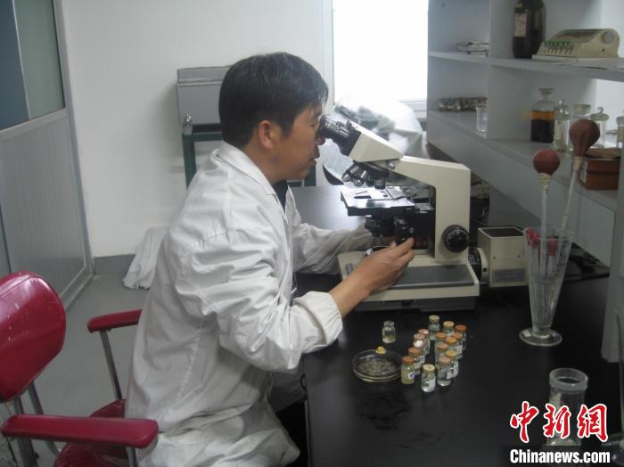 資料圖為研究團(tuán)隊進(jìn)行實驗室寄生蟲分類鑒定?！?青海省畜牧獸醫(yī)科學(xué)院供圖