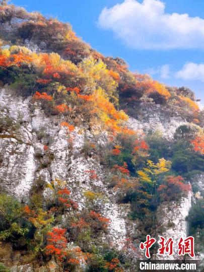 彩林色彩斑斕?！≈炱桨?攝