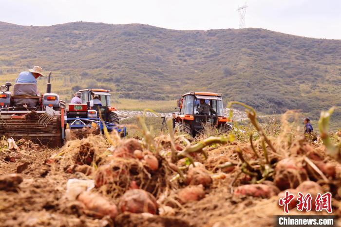 青海東部農(nóng)業(yè)區(qū)：“一分川、一分水、八分山”里“刨金記”