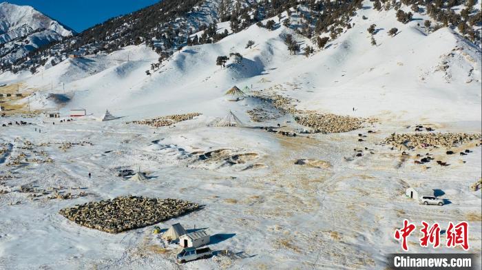 圖為無人機(jī)航拍牧場(chǎng)?！《继m縣融媒體中心供圖