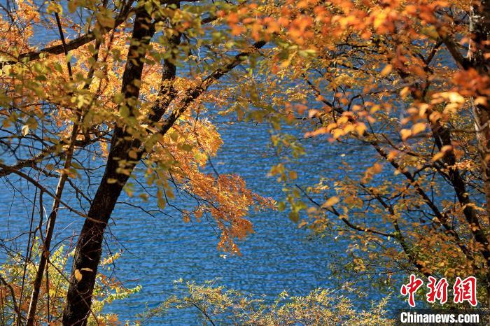 松坪溝風(fēng)光?！⑼?攝