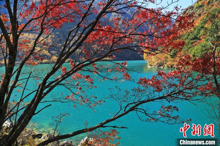 松坪溝風(fēng)光。　何清海 攝