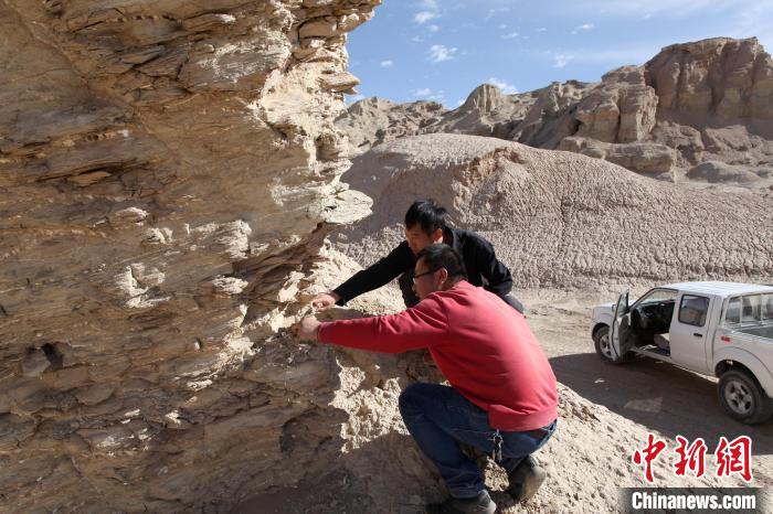 圖為地質(zhì)專家觀察鹽類沉積地層。(資料圖) 柴綜院 供圖
