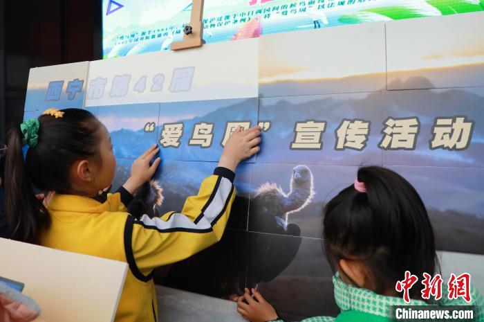 圖為學生通過拼圖游戲了解鳥類知識?！●R銘言 攝