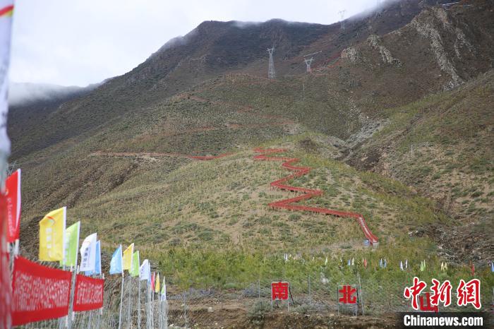 圖為拉薩南北山綠化工程拉薩曲水縣才納村5號(hào)片區(qū)?！∝暣_ 攝