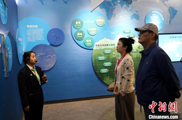 圖為臺(tái)商在祁連山國(guó)家公園生態(tài)科普館內(nèi)聆聽(tīng)講解?！⊙Φ?攝